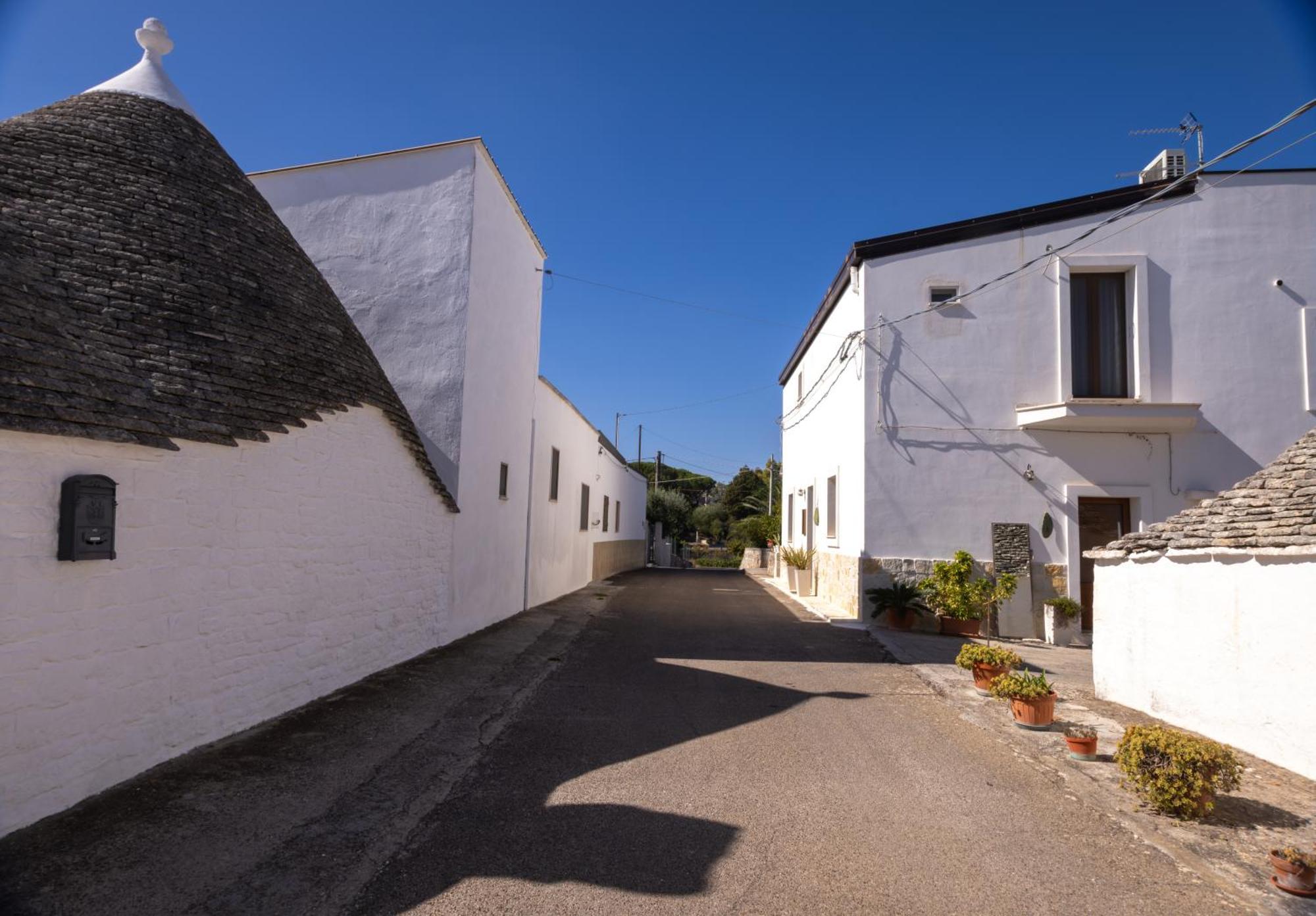 Villa With Trullo And Pool, 阿尔贝罗贝洛 外观 照片